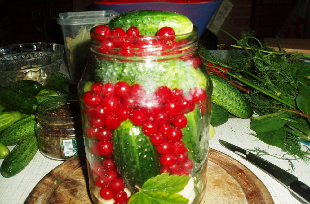 Cucumbers Pickled With Red Currant Juice